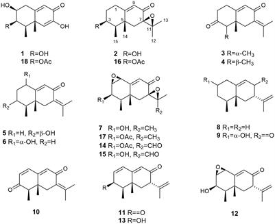 Discovery of new eremophilanes from the marine-derived fungus Emericellopsis maritima BC17 by culture conditions changes: evaluation of cytotoxic and antimicrobial activities